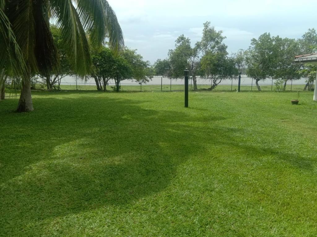Serenity Lake Resort Yala تيساماهاراما المظهر الخارجي الصورة