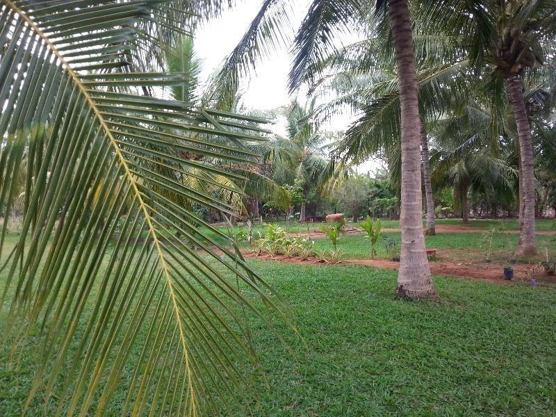 Serenity Lake Resort Yala تيساماهاراما المظهر الخارجي الصورة