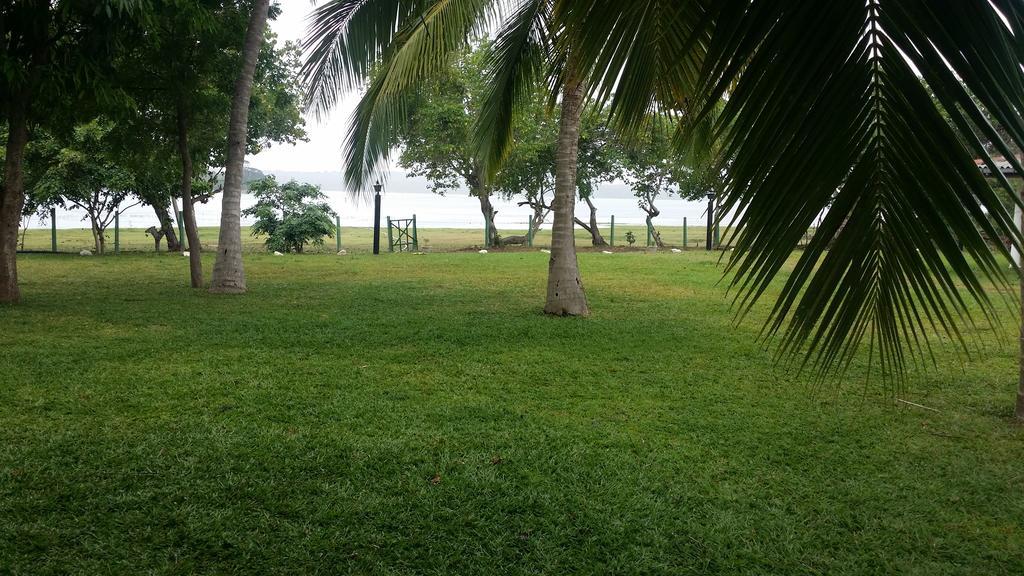 Serenity Lake Resort Yala تيساماهاراما المظهر الخارجي الصورة