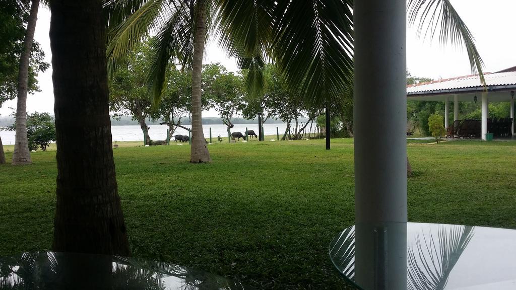 Serenity Lake Resort Yala تيساماهاراما المظهر الخارجي الصورة