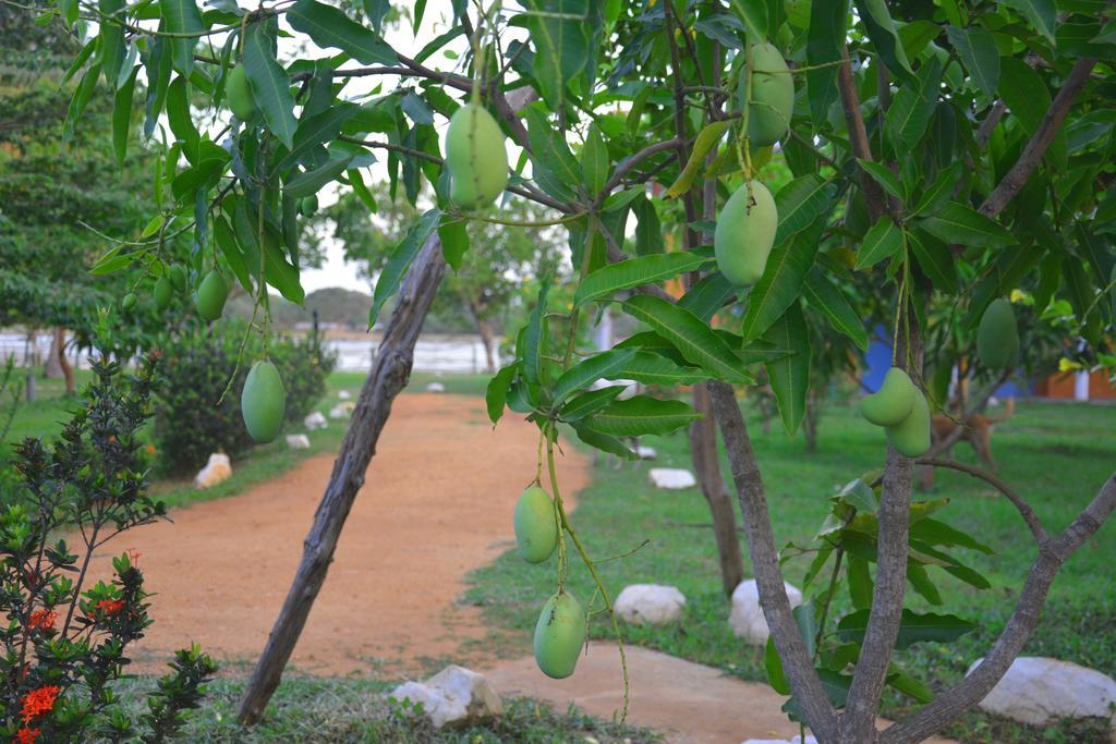 Serenity Lake Resort Yala تيساماهاراما المظهر الخارجي الصورة