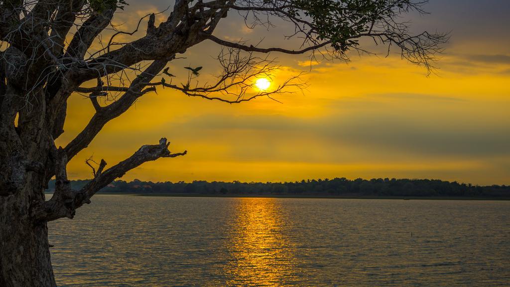 Serenity Lake Resort Yala تيساماهاراما المظهر الخارجي الصورة