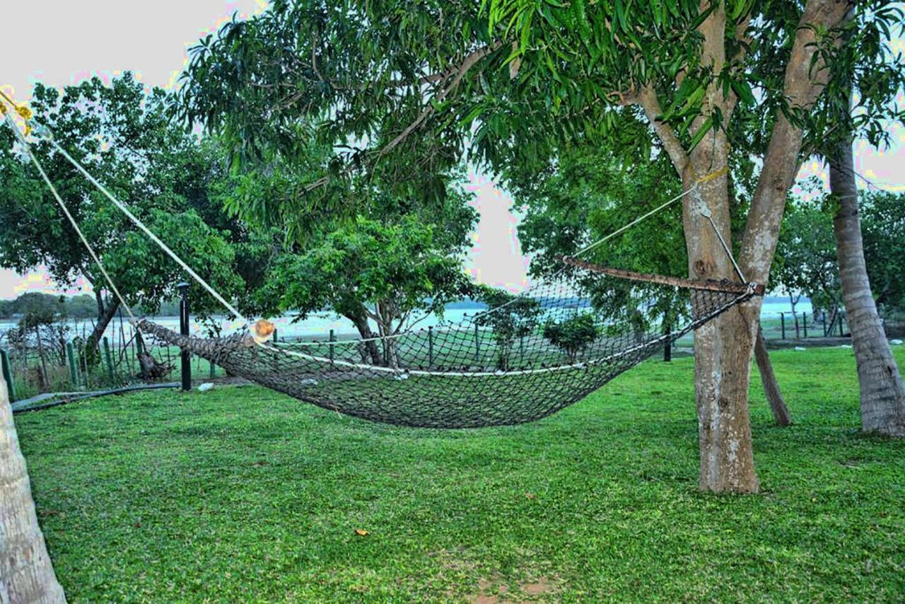 Serenity Lake Resort Yala تيساماهاراما المظهر الخارجي الصورة